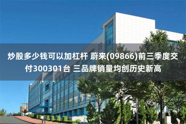 炒股多少钱可以加杠杆 蔚来(09866)前三季度交付300301台 三品牌销量均创历史新高